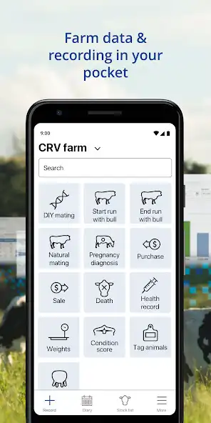Play MYHERD and enjoy MYHERD with UptoPlay Play MYHERD and enjoy MYHERD with UptoPlay