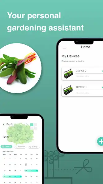 Play My Homefarm  and enjoy My Homefarm with UptoPlay