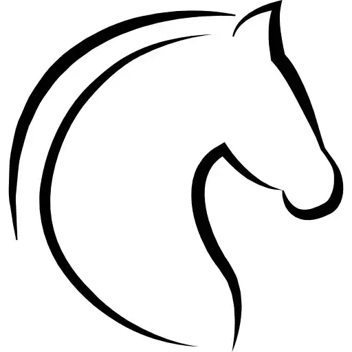 Play My Horse APK Play My Horse APK