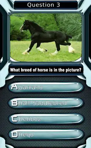 Play My Horse & Pony Breeds Quiz HD as an online game My Horse & Pony Breeds Quiz HD with UptoPlay