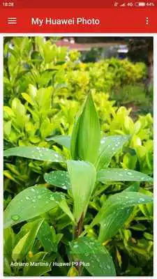 Play My Huawei Photo