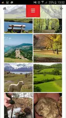 Play My Italian Truffles