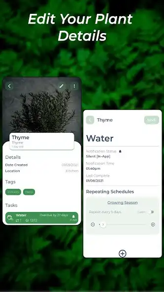 Play My Jungle - Simple Plant Care as an online game My Jungle - Simple Plant Care with UptoPlay
