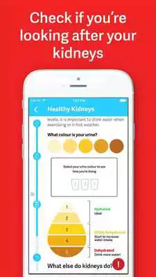 Play My Kidneys, My Health handbook