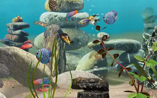 Play MyLake 3D Aquarium as an online game MyLake 3D Aquarium with UptoPlay