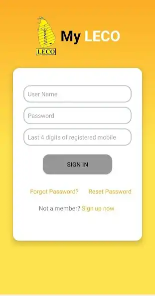 Play myleco  and enjoy myleco with UptoPlay