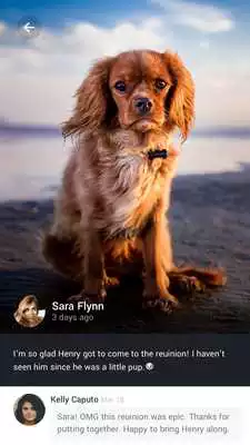 Play Mylestoned