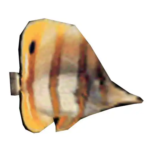 Play My Little Aquarium APK