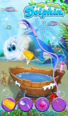 Play My Little Dolphin Play My Little Dolphin