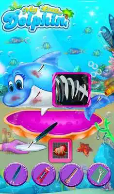 Play My Little Dolphin Play My Little Dolphin