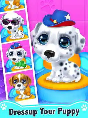Play My Little Puppy Salon