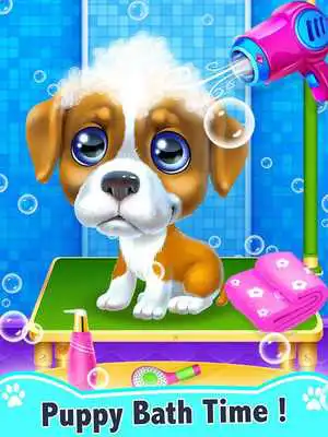 Play My Little Puppy Salon