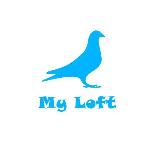 Play My Loft APK Play My Loft APK