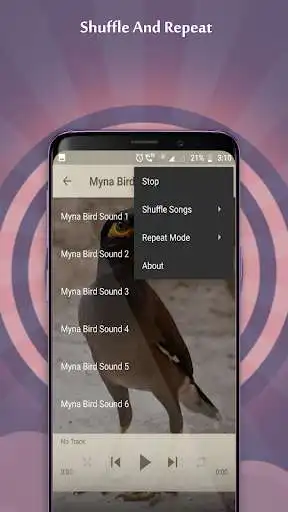 Play Myna Bird Sounds as an online game online Myna Bird Sounds with UptoPlay com.kikaapps.mynabirdsound Play Myna Bird Sounds as an online game Myna Bird Sounds with UptoPlay