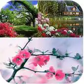 Free play online My Nature Wallpapers APK Free play online My Nature Wallpapers APK