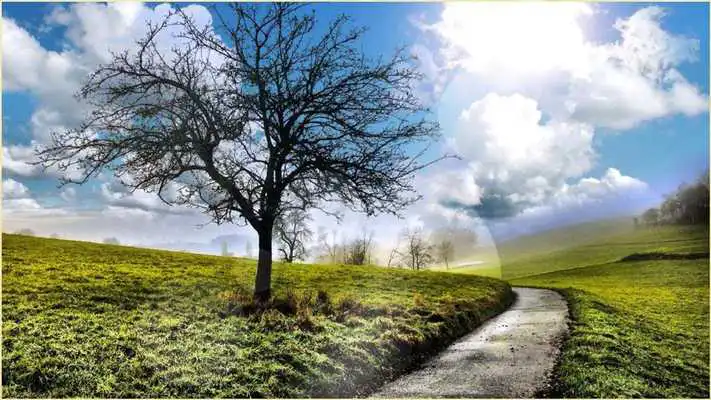 Play My Nature Wallpapers