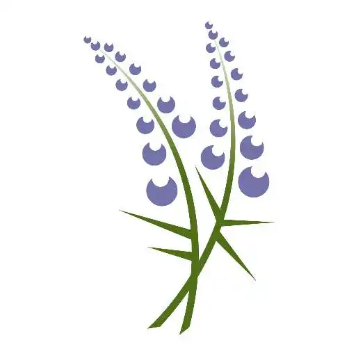 Free play online MyNorthHill APK