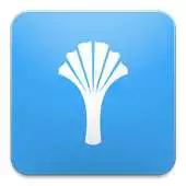 Free play online myPalmetto Health Guide APK