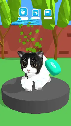 Play My Perfect Pet  and enjoy My Perfect Pet with UptoPlay