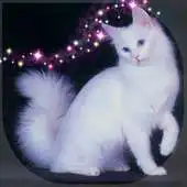 Free play online My Pet Cat - Fun  Learn APK