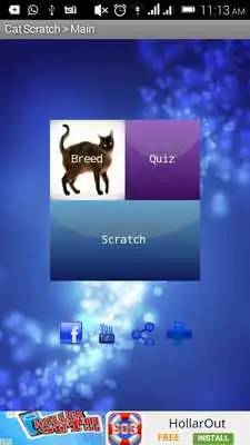 Play My Pet Cat - Fun  Learn