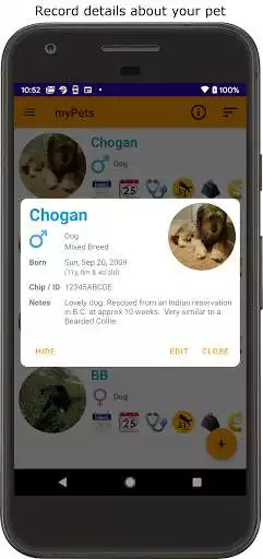 Play myPets - Pet Manager as an online game myPets - Pet Manager with UptoPlay