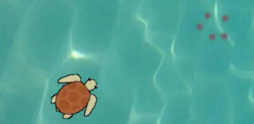 Play My Pet Turtle as an online game My Pet Turtle with UptoPlay