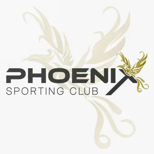 Free play online My PhoeniX APK