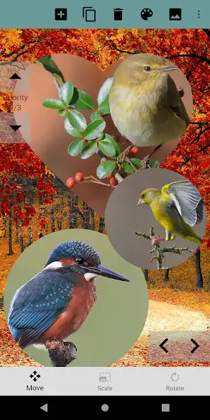 Play MyPhotoCollage and enjoy MyPhotoCollage with UptoPlay Play MyPhotoCollage and enjoy MyPhotoCollage with UptoPlay