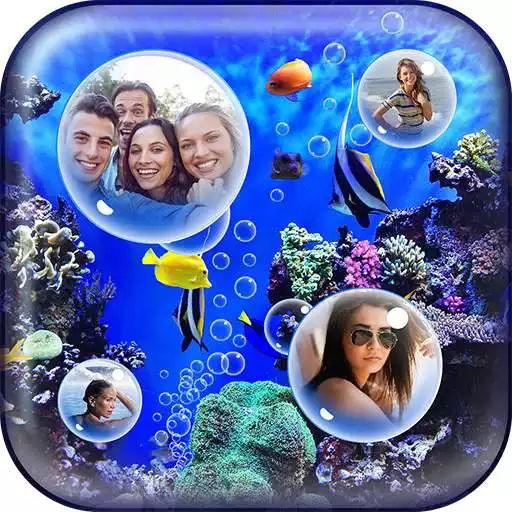 Free play online My Pic Aquarium Live Wallpaper  APK