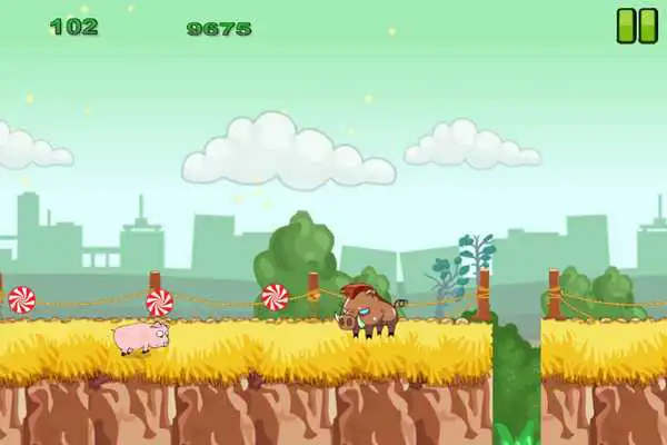 Play My piggy pets