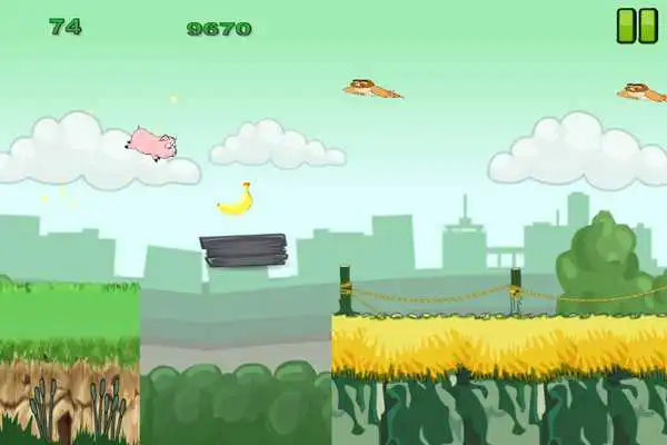 Play My piggy pets