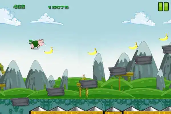 Play My piggy pets