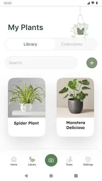 Play MyPlant - Plant Identification and enjoy MyPlant - Plant Identification with UptoPlay Play MyPlant - Plant Identification and enjoy MyPlant - Plant Identification with UptoPlay