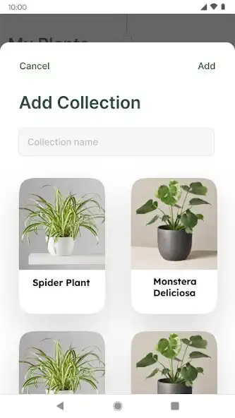 Play MyPlant - Plant Identification as an online game online MyPlant - Plant Identification with UptoPlay Play MyPlant - Plant Identification as an online game MyPlant - Plant Identification with UptoPlay