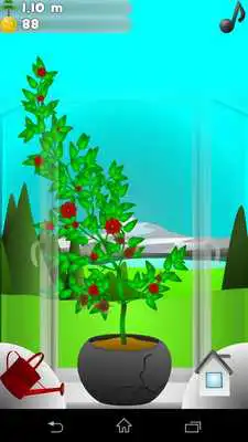 Play My Plant
