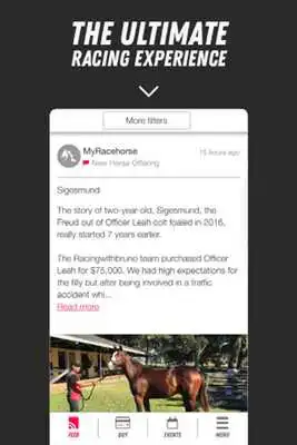 Play MyRacehorse