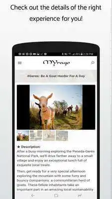 Play MYrago