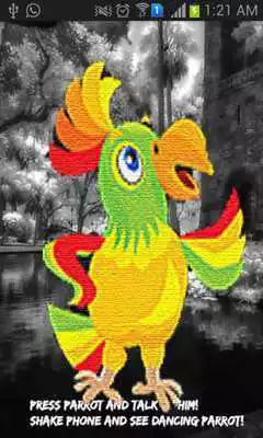 Play My Real Talking Parrot