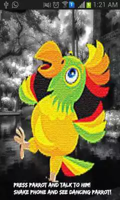 Play My Real Talking Parrot