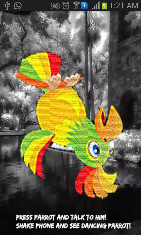 Play My Real Talking Parrot