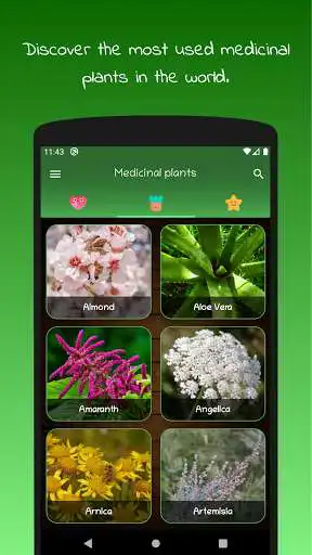Play myRemedy: Medicinal plants  and enjoy myRemedy: Medicinal plants with UptoPlay