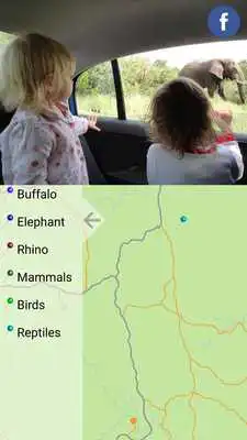 Play MY SAFARI