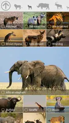 Play MY SAFARI