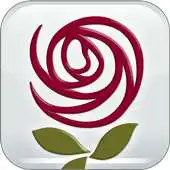 Free play online My Santa Rosa APK