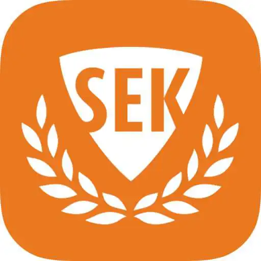 Free play online MySEK Infants APK