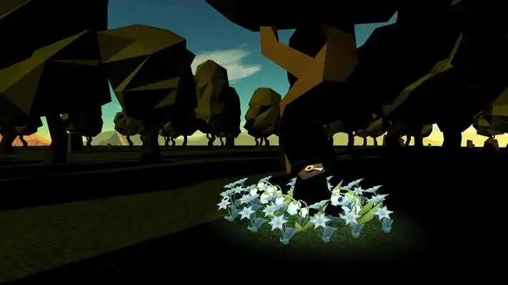 Play Mystery VR