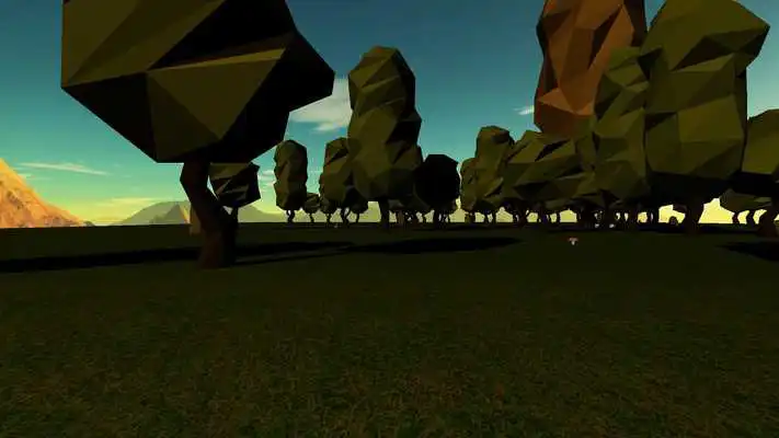 Play Mystery VR
