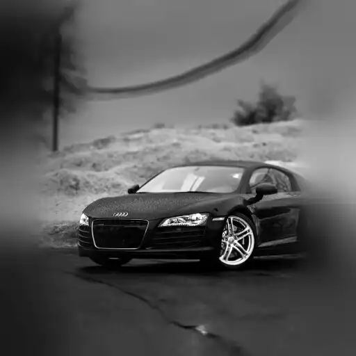 Play My Summer Racing Car APK Play My Summer Racing Car APK