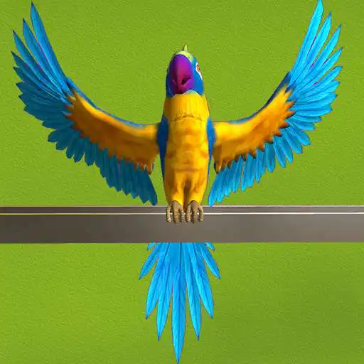 Play My Talking Parrot APK Play My Talking Parrot APK